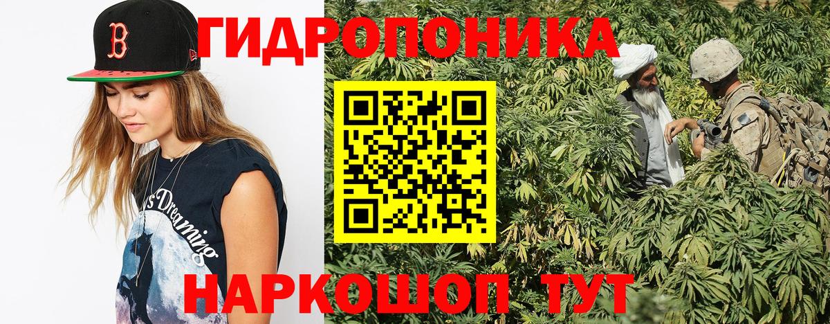 Бошки Шишки марихуана Ростов Великий